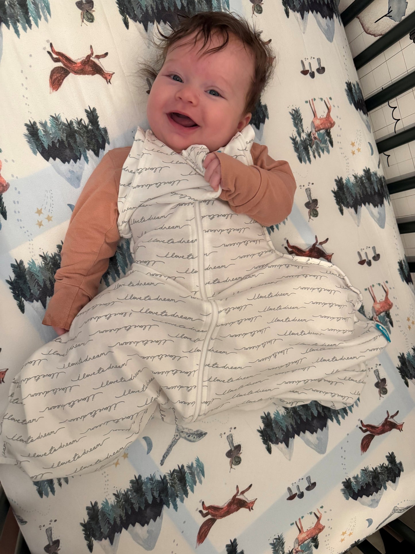 Swaddle Up™ Transition Bag Hip Harness - White Dreamer