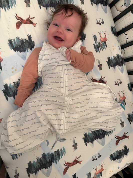 Swaddle Up™ Transition Bag Hip Harness - White Dreamer